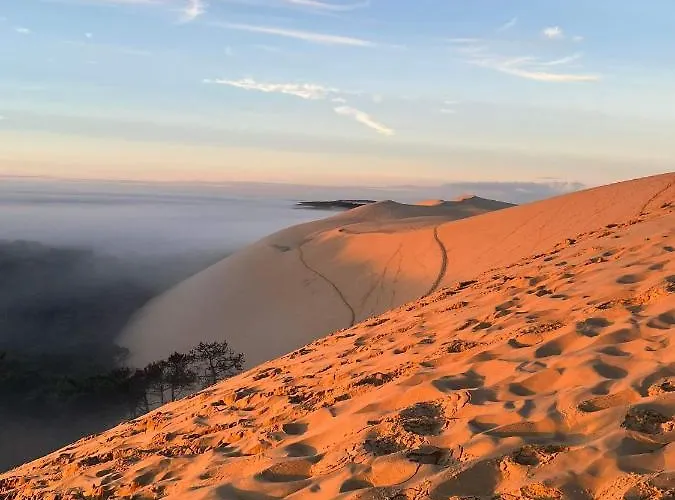 Les Marinas De Cassy