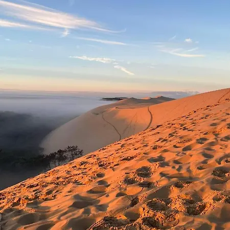 Les Marinas De Cassy