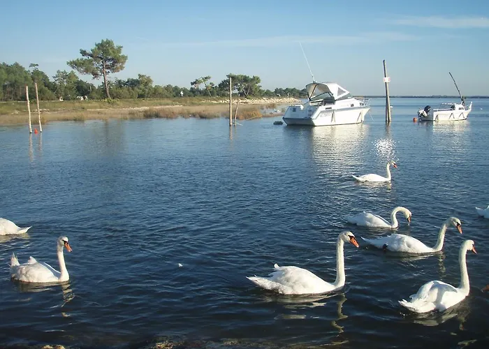 Apartament Les Marinas De Cassy Lanton